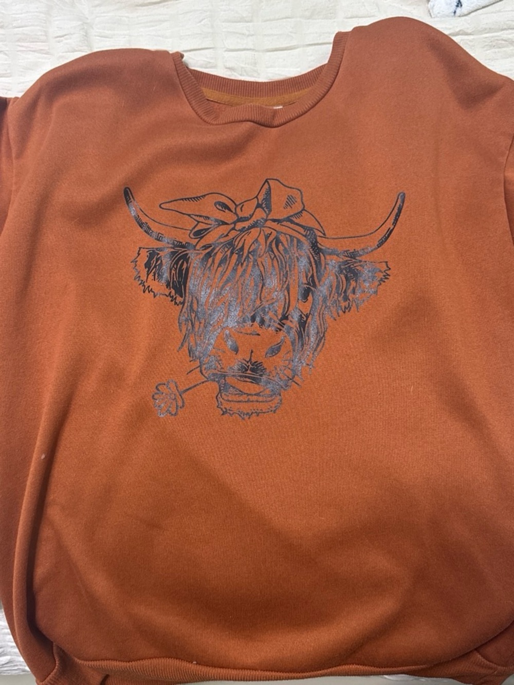 SHEIN Rust Brown Graphic Sweatshirt with Highland Cow Print